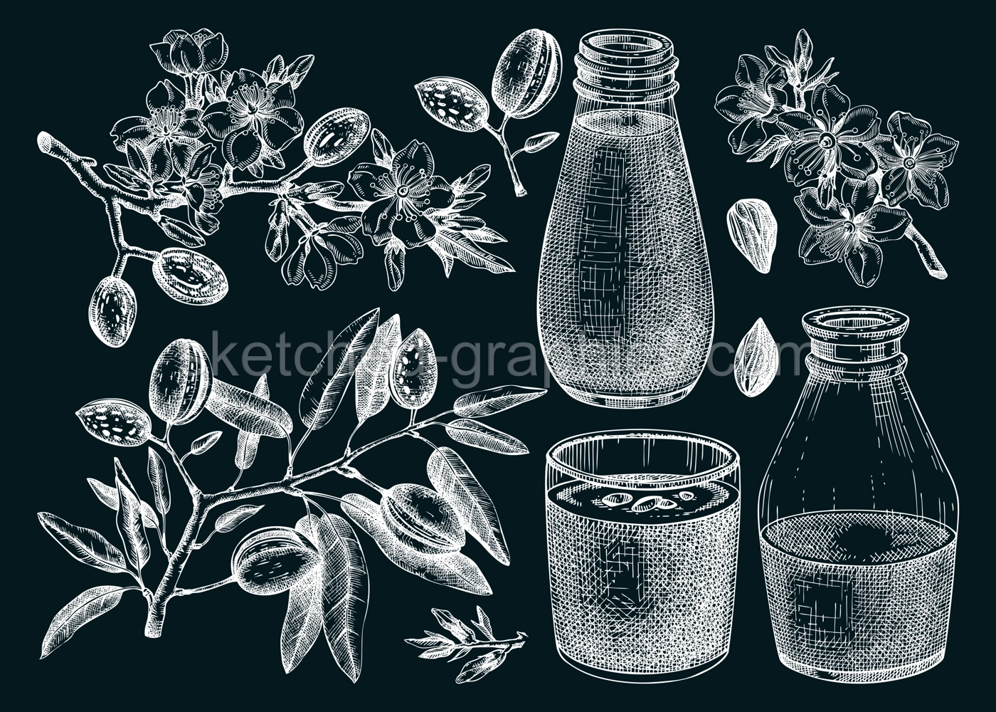 Almond milk set. Dairy products design elements. Plant milk in glass, bottle, almond nut, blooming branches with leaves and flowers sketches. Nut milk, healthy drink vector illustrations on chalkboard Illustration